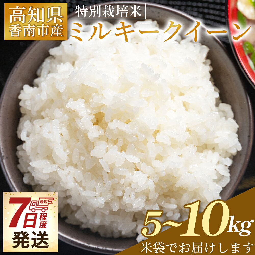 【ふるさと納税】先行予約受付【順次発送】新米 令和8年産 特別栽培米 ミルキークイーン 5kg／10kg 高知県香南市産 - 選べる 内容量 お米 米 白ご飯 ごはん 精米 お弁当 おにぎり おむすび 炊き込みご飯 おいしい 美味しい 防災 非常食 備蓄 高知県 香南市【常温】