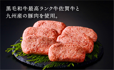 佐賀牛プチ贅沢セット ハンバーグ150g×6個・切り落とし500g