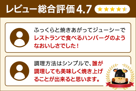 佐賀牛入り 熟成 ハンバーグ 約120ｇ×20個 J924
