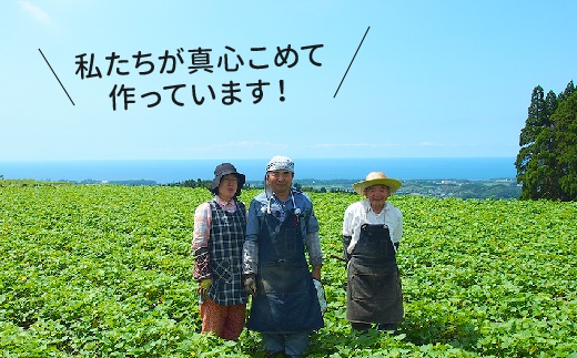 040-02-1 【お歳暮に】さつまいも「シルクスイート」5kg