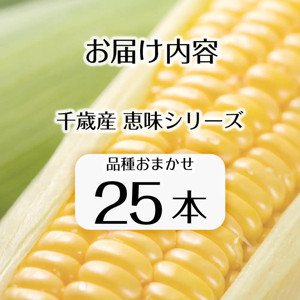 【先行予約】北海道 千歳産 とうもろこし 1本430ｇ以上 25本 恵味シリーズの中からおまかせで1種類  ＜ふぁーむあんざわ＞