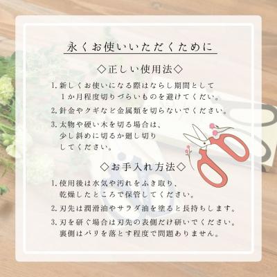 ふるさと納税 三条市 生花はさみ ハンドクリエーションF170左用 ウォームグレー 花鋏 [坂源] 【010S719】 |  | 03