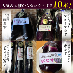 なす 4種類 おまかせ 10本（水なす・フルーツなす・千両なす・ふわとろ長なす）ナス 京都