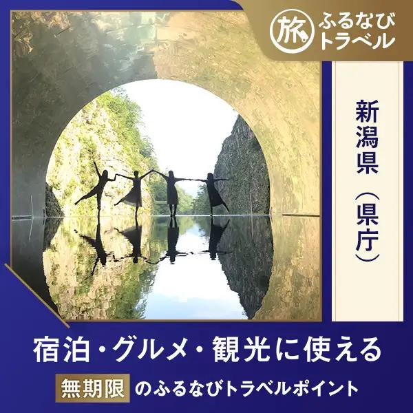 【新潟旅行・宿泊無期限】旅行ポイント新潟県ふるなびトラベルポイント