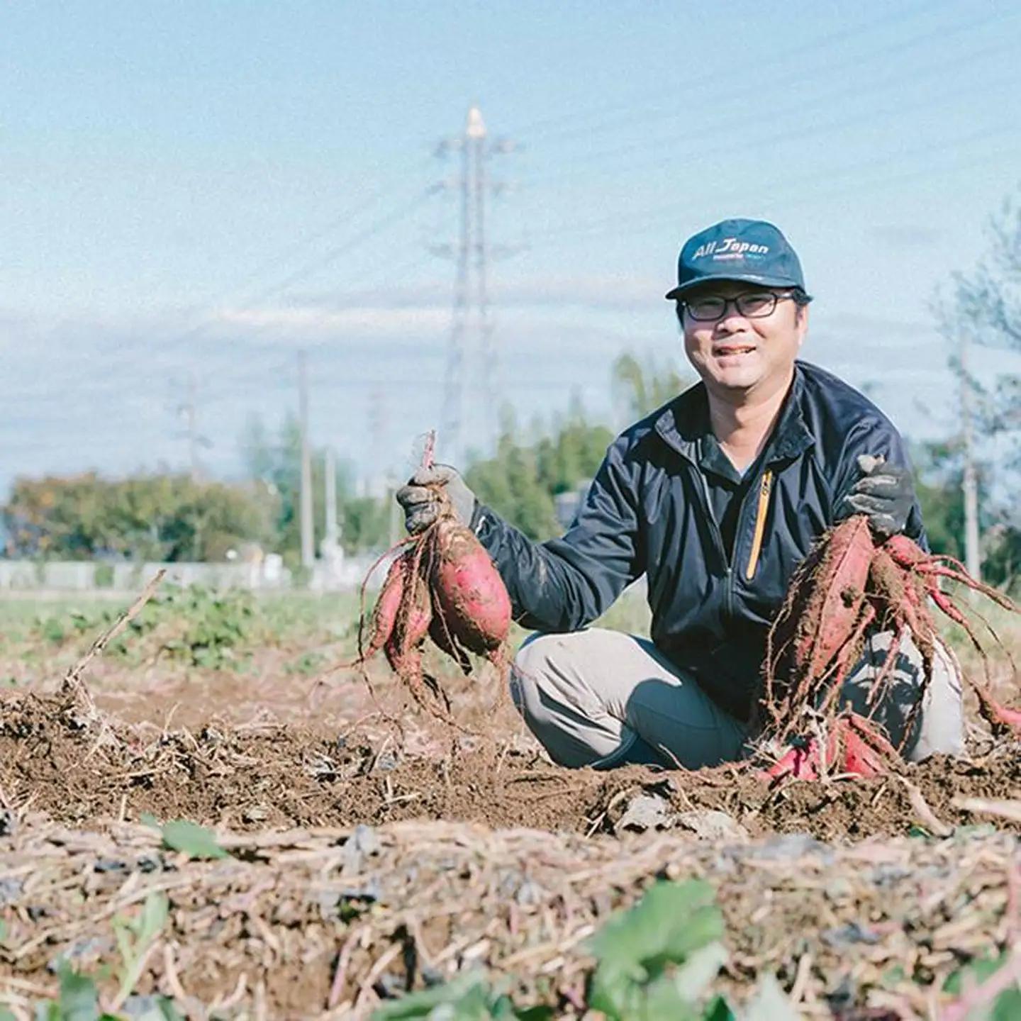 さつまいも 熟成 紅はるか 5kg 訳あり サツマイモ【年内出荷】