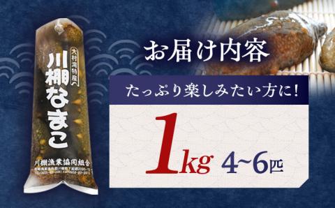 川棚 生 なまこ 約1kg 【森水産】[OAI001] / 大村湾で採れる 高級 新鮮 ナマコ 魚介 おつまみ なまこ 正月