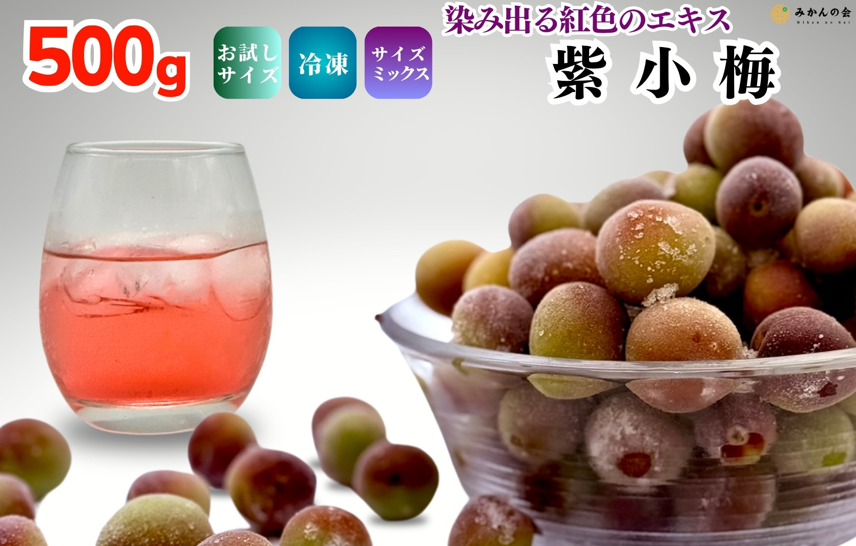 【2025年7月上旬～出荷予定】冷凍 紫小梅 500g 秀優混合 サイズミックス 紅紫色 梅 和歌山県産 紀州有田 クール便 【みかんの会】