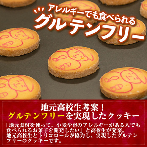 isa472 伊佐米使用！ 田の神さあクッキー(1箱・10個入)お菓子 洋菓子 お米 グルテンフリー スイーツ 卵不使用 鹿児島 クッキー おやつ 菓子 お菓子【ケーキハウストリコロール】