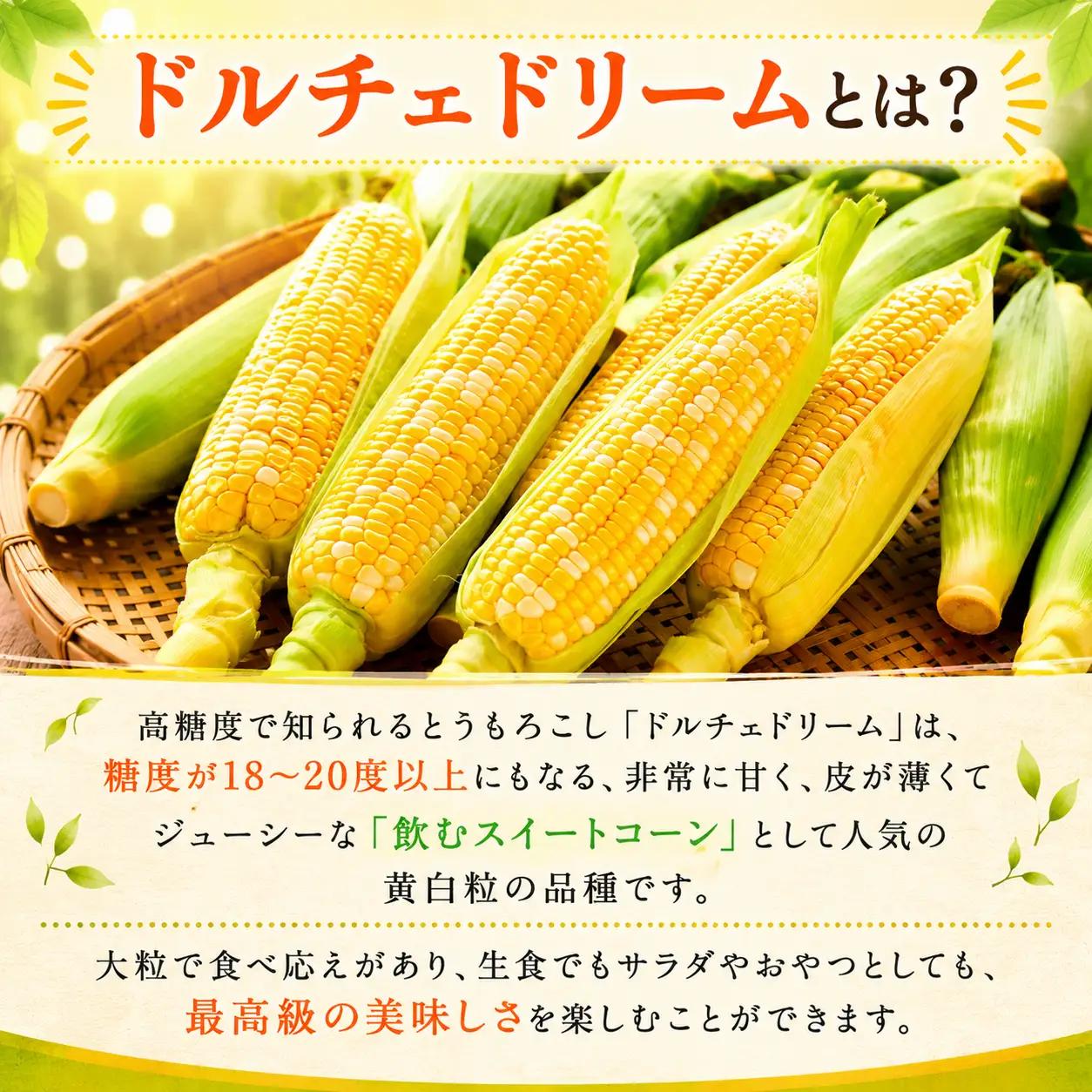 とうもろこし 10-12本セット 柳川市産 トウモロコシ