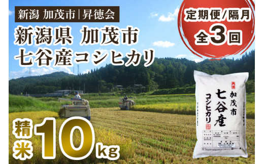 【令和8年産新米先行予約】【定期便3回隔月お届け】新潟県加茂市 七谷産コシヒカリ 精米10kg（5kg×2）《10月中旬～順次出荷》 白米 高柳地域産数量限定 昇徳会 定期便
