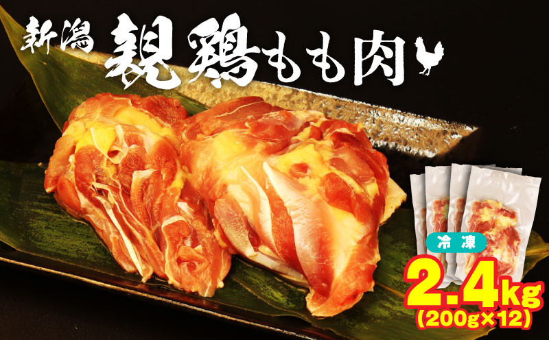 
            親鶏 もも肉 2.4kg 200g × 12 パック 鶏肉 鶏 チキン  タンパク もも 肉 とり にく お家ごはん 国産 県産 親鳥 鳥肉 精肉  父の日 ブランド鶏 鍋 汁物 郷土食 新潟親鶏 冷凍 小分け 新潟産 新発田産 マルコ岩村 新潟県 新発田市
          