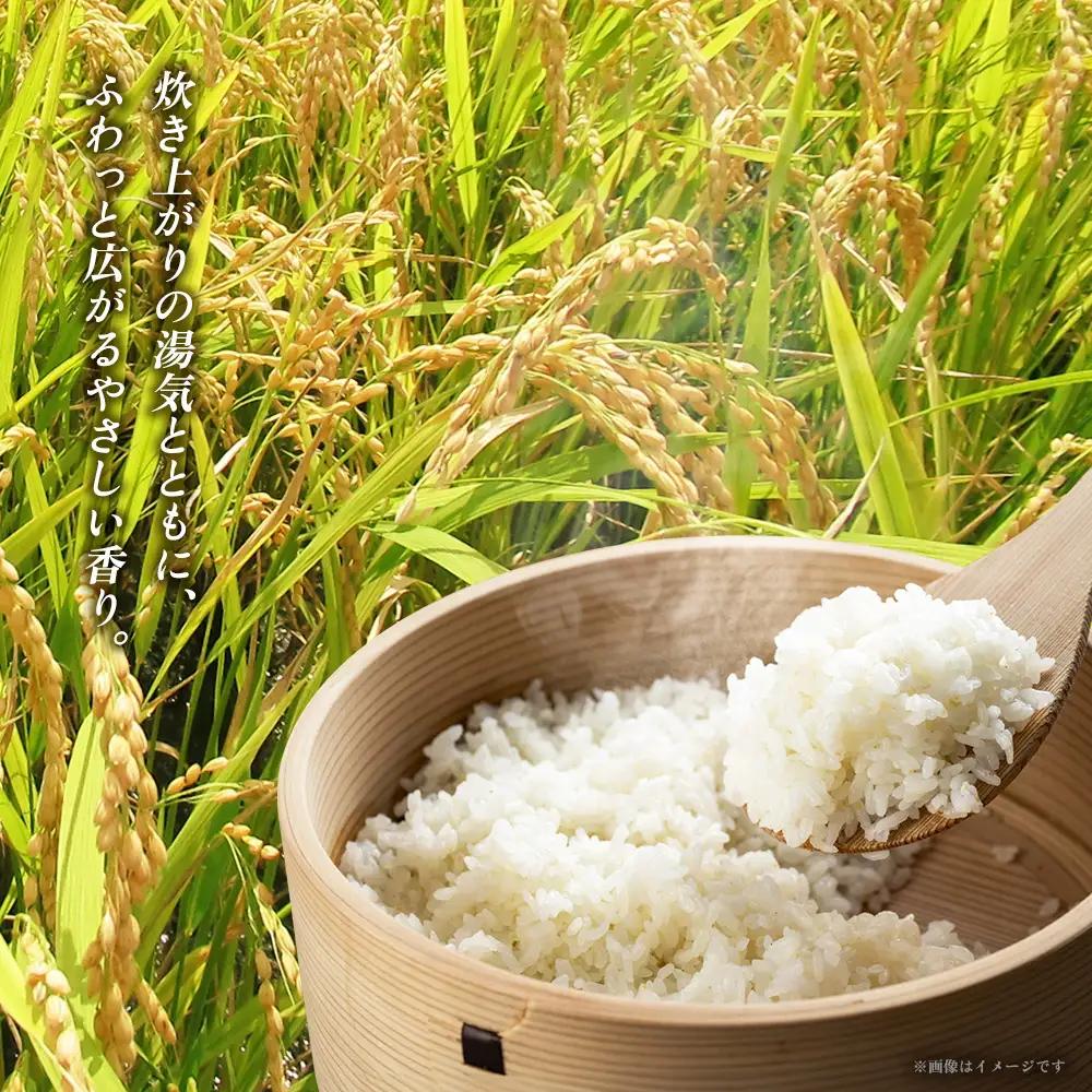 米 沖縄 令和8年産 羽地米(ひとめぼれ) 5kg 名護