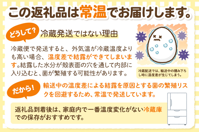 【常温発送】《定期便10ヶ月》ひとたま 6個×4P【発送時期が選べる】東海林養鶏場 ひとたま 卵 玉子 たまご タマゴ 10か月 10ヵ月 10カ月 10ケ月 開始時期選べる