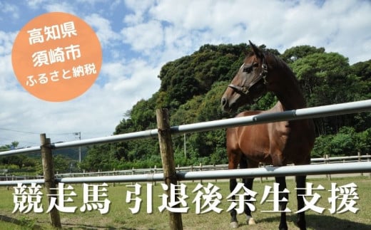 
競走馬 支援 50万円 コース 黒潮友馬会応援 500000円 特典 ポストカード 競馬 サラブレッド 引退 高知県 須崎市
