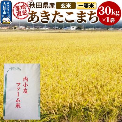 ふるさと納税 _大仙市 米 令和7年産 秋田県産あきたこまち 一等米 農家直送 玄米30kg|22_uot-023001