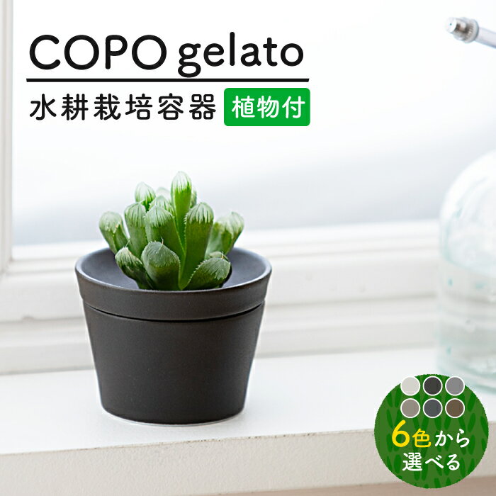 【ふるさと納税】【美濃焼】＜色が 選べる＞COPO（ジェラート）植物付き【大東亜窯業】インテリア 雑貨 観葉植物 [MAG073]