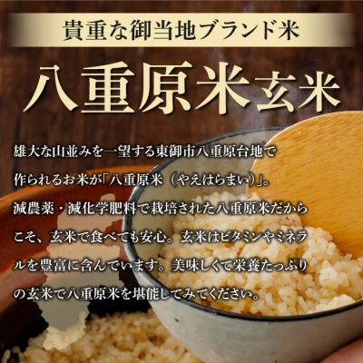 ふるさと納税 東御市 令和7年新米受付【6回定期便】八重原米10kg(5kg×2)玄米※2025年10月以降発送|笹屋農園 |  | 01