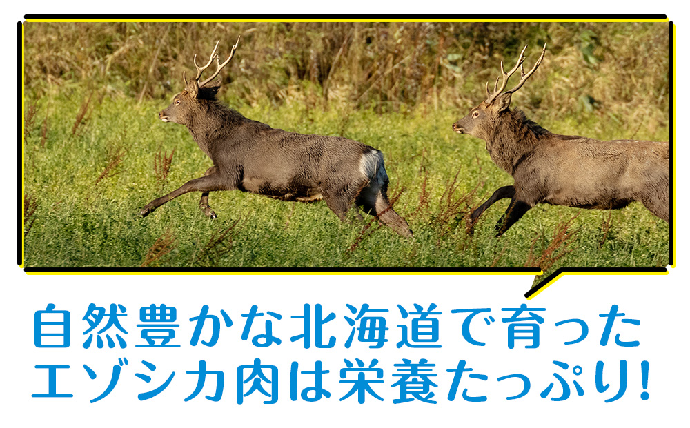 定期便 全4回 お楽しみ 犬 おやつ 無添加 国産 エゾ鹿肉 ジャーキー (150g) 犬用 トリーツ ペットフード ドッグフード 干肉 エゾシカ