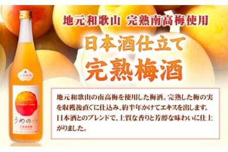 焼酎 焼酎黒潮波 完熟南高梅うめのわ 完熟梅酒 720ml 2本セット 酒のねごろっく《30日以内に出荷予定(土日祝除く)》焼酎焼酎
