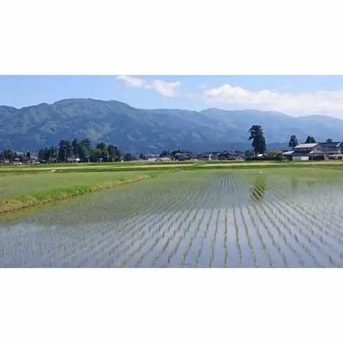 【令和7年産】厳選 　富山県産こしひかり　育（はぐくみ）白米２個セット　2kg×2個《南砺の逸品》