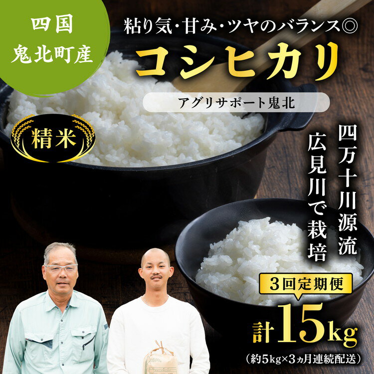 【ふるさと納税】【先行予約】【令和8年度産新米】【3か月定期便】コシヒカリ 約15kg（約5kg×3回)（精米済み） | 精米 お米 米 白米 人気 ランキング 愛媛県 鬼北町 四国 国産 アグリサポート鬼北 ※離島への配送不可 ※2026年9月上旬～12月下旬頃に順次発送予定