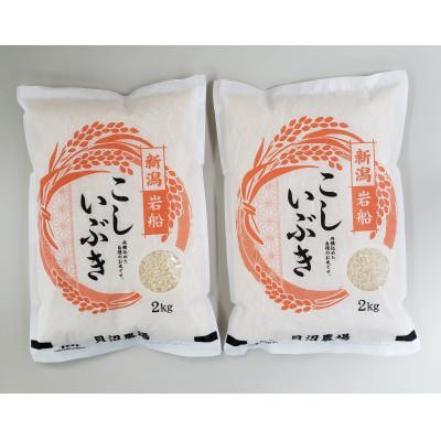 ふるさと納税 村上市 新米【令和7年産米】こしいぶき 白米4kg(2kg×2) 新潟県村上市岩船産　1067100 | 