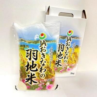 ふるさと納税 名護市 令和7年産 精米 羽地米(ひとめぼれ) 5kg