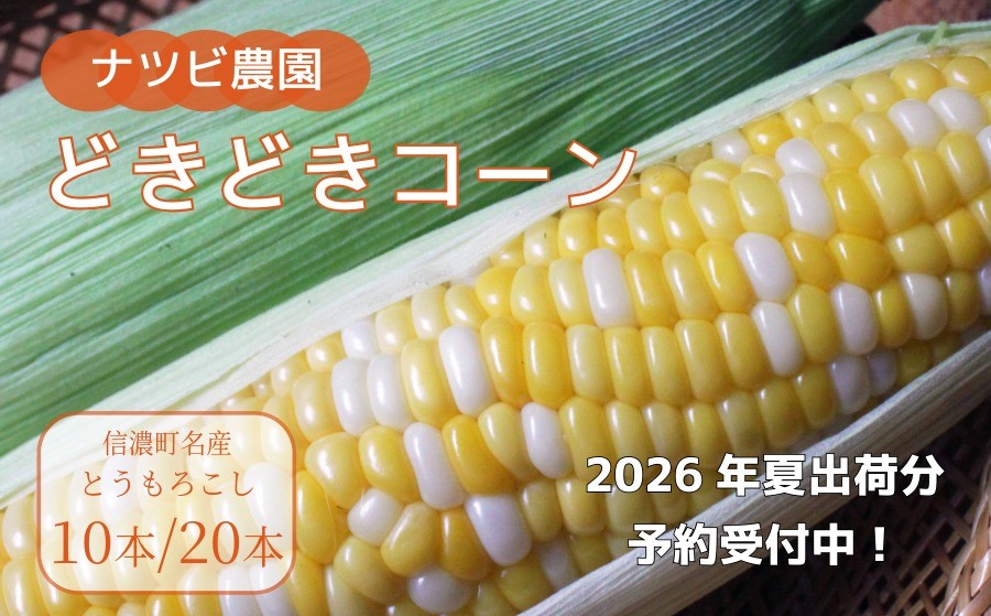
            2026年夏の早期予約受付開始！ナツビ農園『どきどきコーン』10本セット（約4.5kg）/   20本セット（約9kg） 生でも食べられる信濃町名産とうもろこし／白と黄色のバイカラー品種 令和8年7月下旬～8月下旬に出荷予定【長野県信濃町ふるさと納税】
          