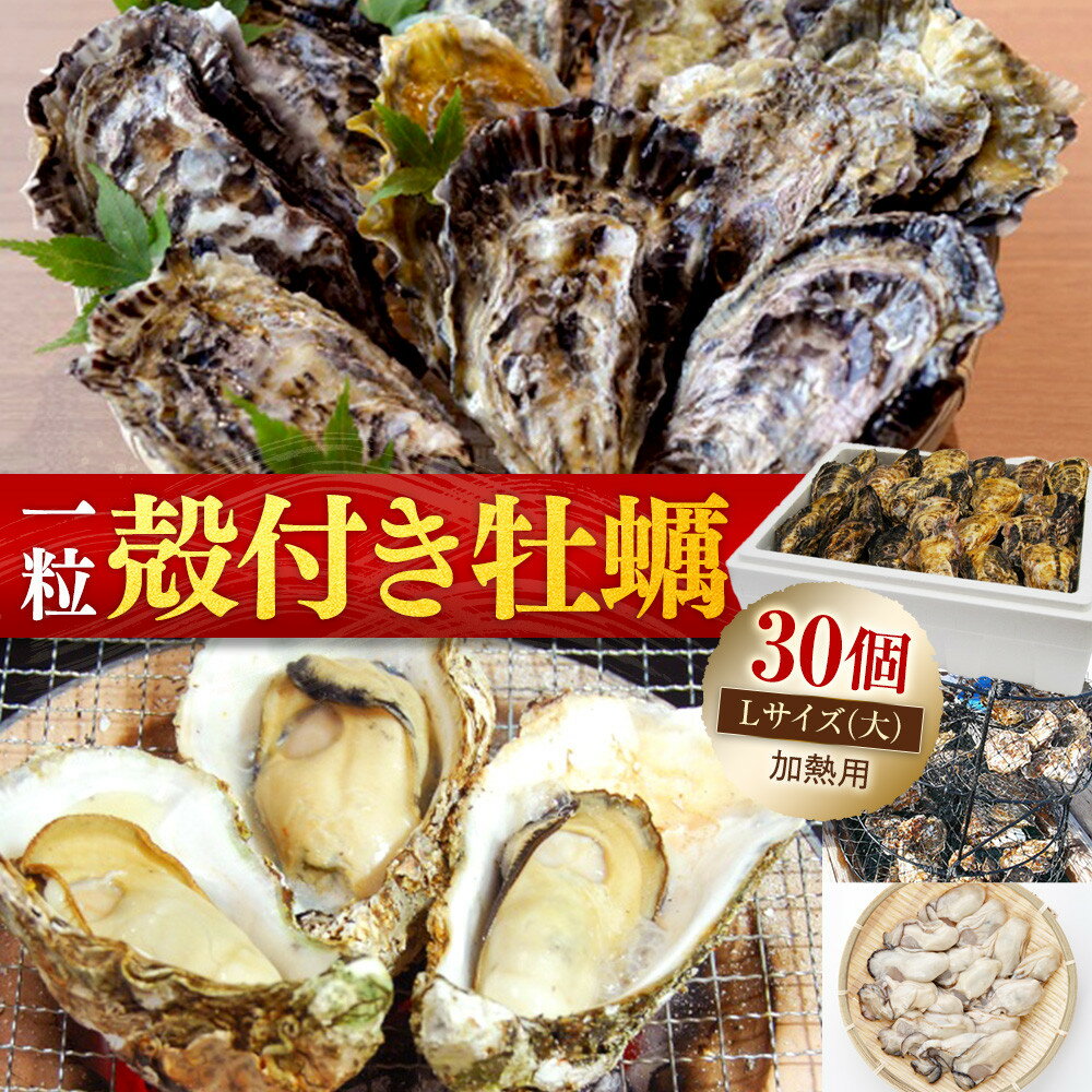 【ふるさと納税】★北海道・沖縄配送不可★［殻付き牡蠣］Lサイズ(大)30個《加熱用》 | 広島かき 広島牡蠣 かき 新鮮 旬 おすすめ 人気 広島県 宮島 廿日市市