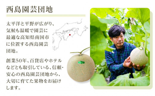 高知県南国市産／贈答用マスクメロン（2個）【メロン フルーツ くだもの デザート 高評価 厳選 高級 ギフト 贈り物 人気 おすすめ】【メロン マスクメロン フルーツ 果物 くだもの 食品 デザート 