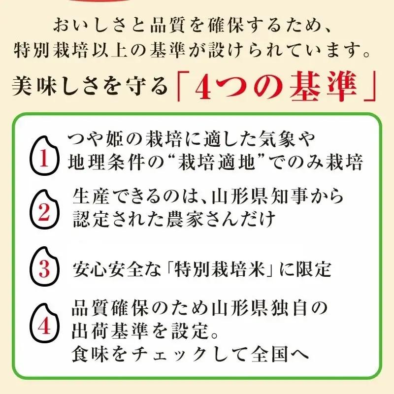 【令和8年産先行予約】【令和8年12月7日～12月13日発送】 工藤さんの特別栽培米 つや姫 無洗米 5kg（5kg×1袋） 山形県鶴岡市産 株式会社サンエイファーム　| 米 つや姫 5kg 特別栽培