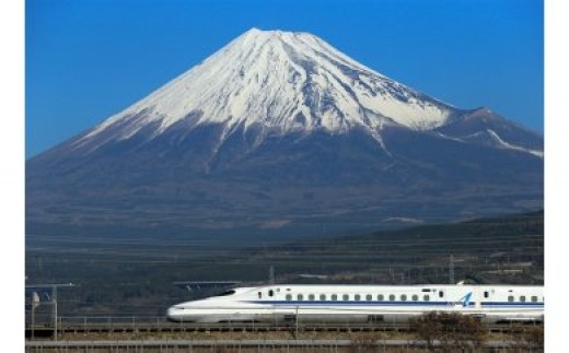 ふるさと大垣へ帰ろうプラン（新横浜駅発着）