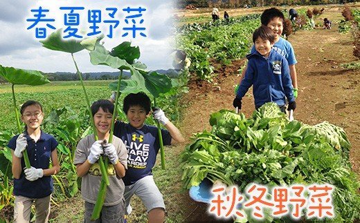 【ふるさと納税】思い出 つくろう 会員制 貸農園「カズサ愛彩ガーデンファーム」 | お試し 収穫体験 体験型リゾート農園 収穫体験 野菜の収穫（約5〜10kg 野菜による） 送料無料 株式会社アグリライフ倶楽部 家族で体験できるお礼の品 君津市 千葉県