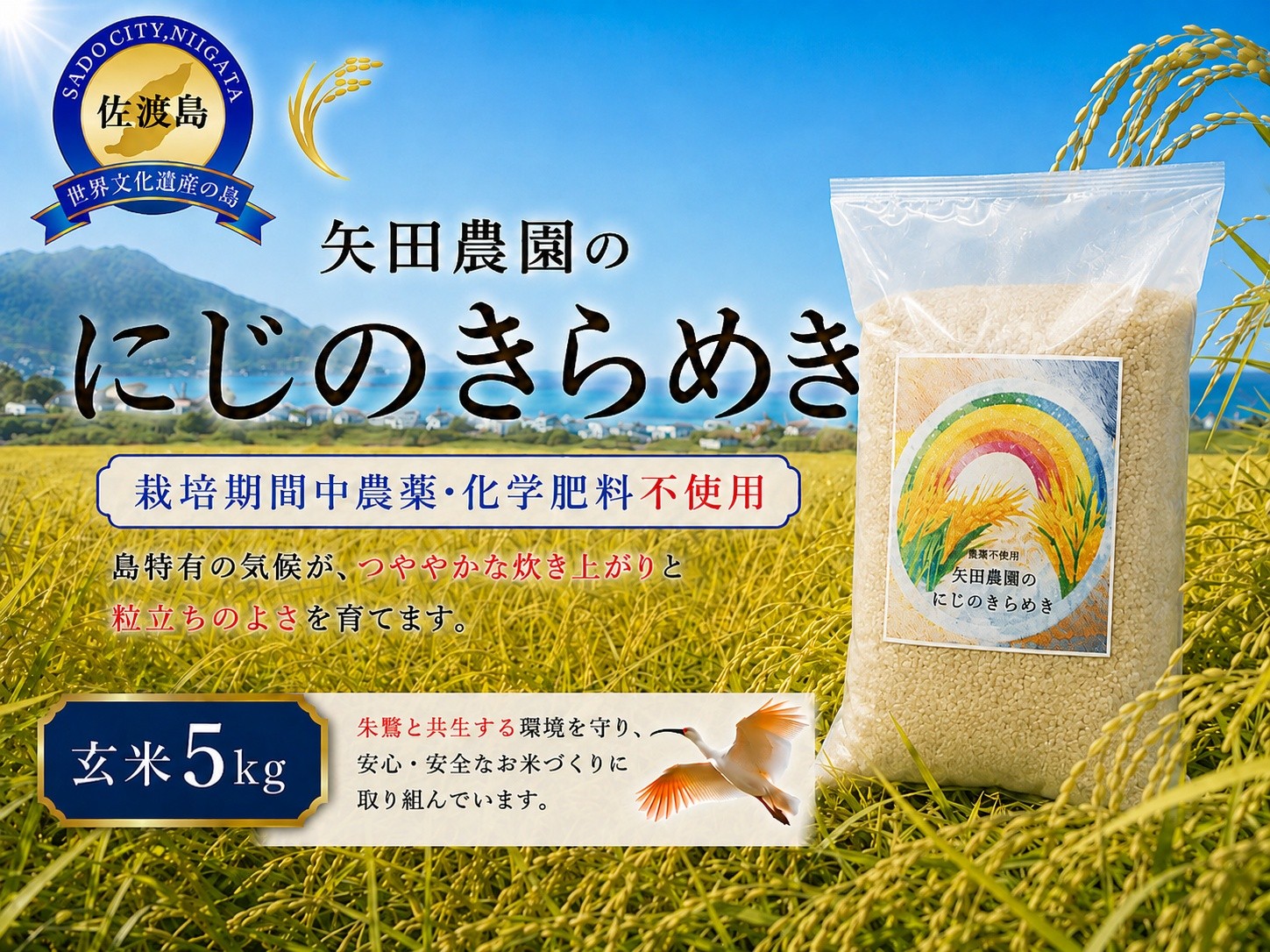
                  【令和8年産】佐渡産にじのきらめき 玄米5kg 栽培期間中 農薬・化学肥料不使用 矢田農園 | 新潟県産にじのきらめき 新潟産にじのきらめき 佐渡産にじのきらめき お米 米 にじのきらめき 白米 精米 おこめ コメ 5キロ 農家直送 にいがた さど 新潟県 佐渡市
                