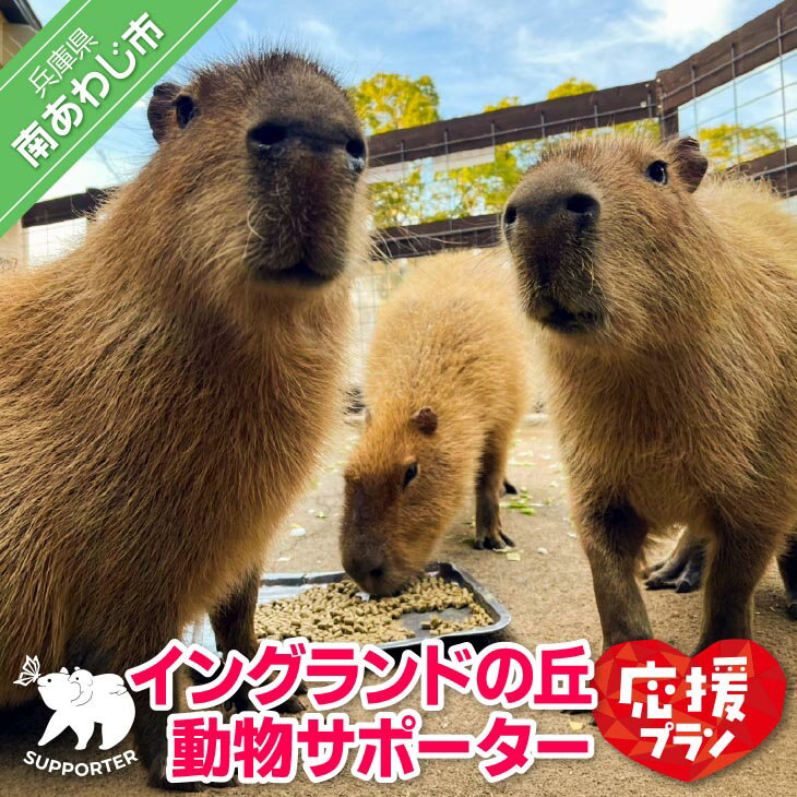 【ふるさと納税】【イングランドの丘】動物サポーター《応援プラン》