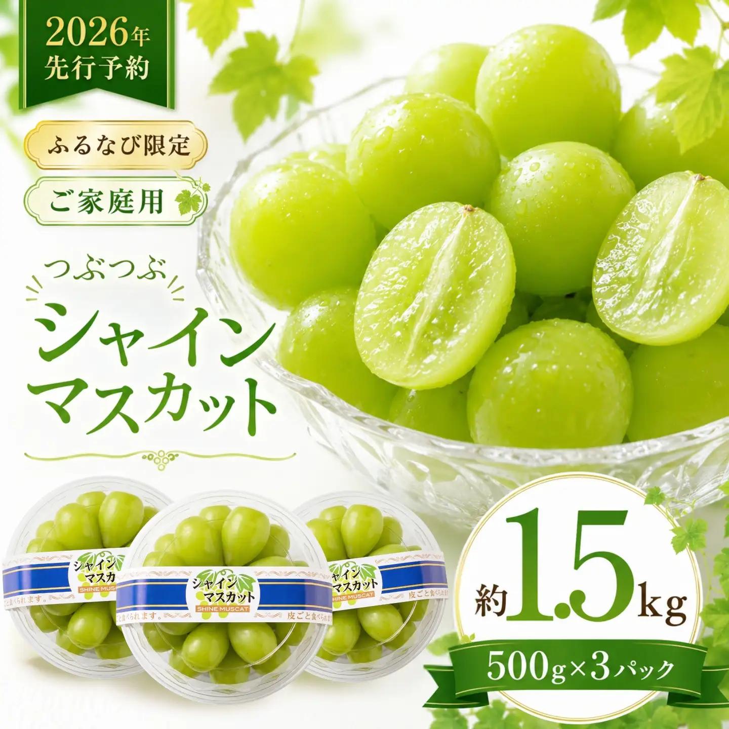 シャインマスカット（約1.5kg）【2026年先行予約】｜シャインマスカット フルーツ 【ふるなび限定】ご家庭用つぶつぶ　FN-Limited-SP