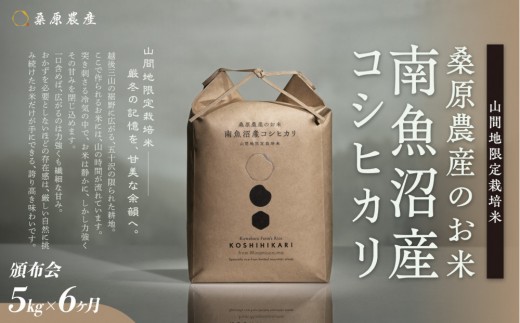 【令和8年産新米】【頒布会】日本のお米の最高峰　山間地米　南魚沼産コシヒカリ5kg　6カ月　桑原農産のお米(精米)【2026年9月中旬より1ヶ月以内に順次発送予定】