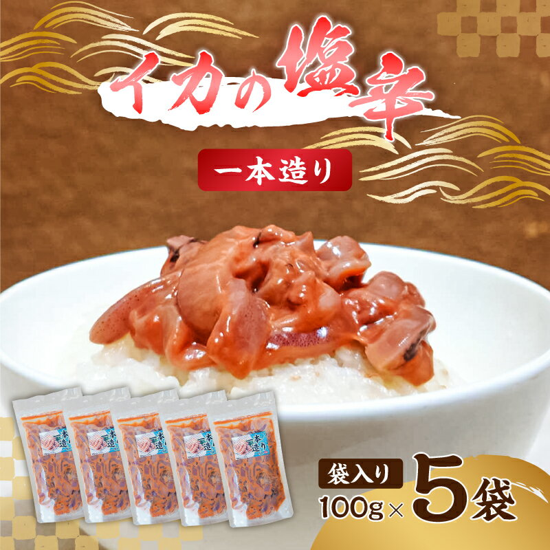 【ふるさと納税】 イカの塩辛 一本造り 袋入り 100g×5 千葉県 南房総市 ご飯 おかず お酒のお供 相性抜群 肉厚 するめいか 唐辛子不使用 珍味 魚介類 加工食品 冷凍 お取り寄せ グルメ 送料無料