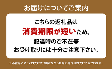 高級デニッシュ食パン「MIYABI」 ミヤビパン プレーン2斤 3本セット パン 食パン 高級食パン デニッシュ食パン ふんわり しっとり もっちり 宮家献上品 朝食 直営工場 羽田 東京
