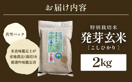 【令和6年産】発芽玄米 特別栽培米 コシヒカリ 2kg 【米 玄米 こしひかり ギャバ GABA 特別栽培 食物繊維 栄養 真空パック ごはん ご飯 おいしい ふるさと納税米】 [A-2977]