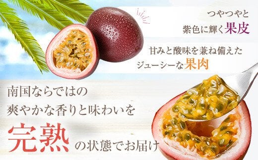 【先行受付】前村さんちのパッションフルーツ