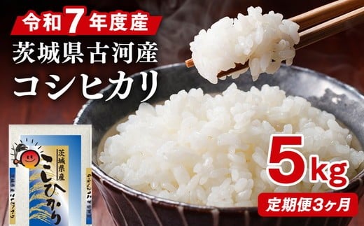 
                  【定期便 3か月】令和7年産 古河市産コシヒカリ 5kg | 米 こめ コメ 5キロ 定期便 精米 こしひかり 単一米 国産 古河市産 茨城県産 贈答 贈り物 プレゼント 茨城県 古河市 直送 農家直送 産地直送 送料無料 _DP34
                
