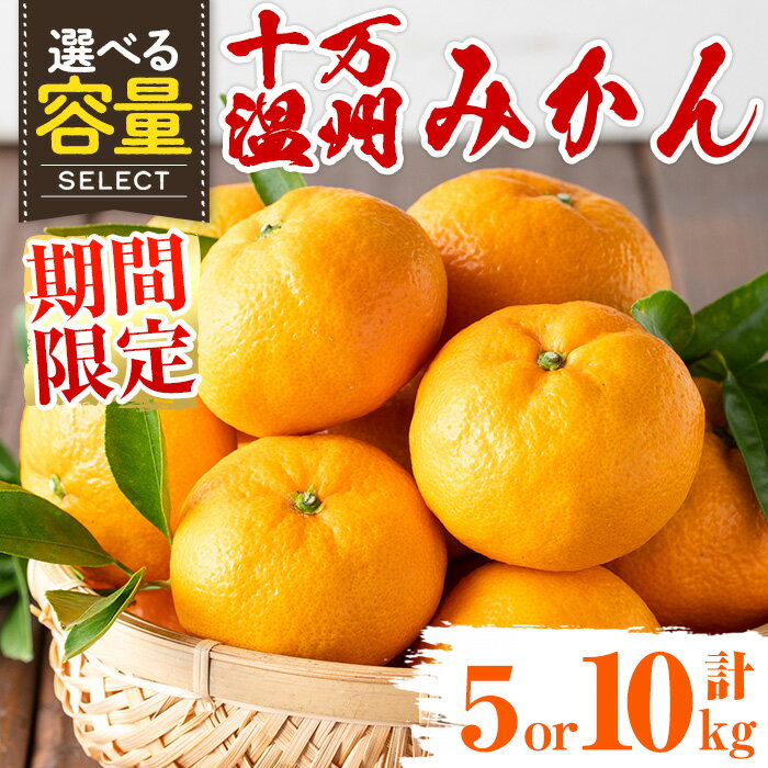 【ふるさと納税】〈選べる容量！〉≪先行予約受付中！2025年12月中旬より順次発送≫十万温州みかん(計約5kg or 10kg・M〜Lサイズ) 鹿児島 国産 九州産 フルーツ 柑橘 みかん 蜜柑【田野農園】