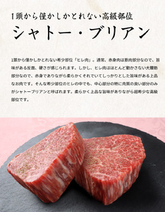 熊野牛A4以上ヒレシャトーブリアンステーキ100g×2枚＆霜降りサーロインステーキ180g×2枚【uot766】