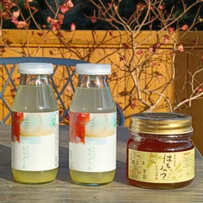 ふるさと納税 南伊勢町 伊勢志摩の恵み お試しセット ないぜしぜん村 セミノールジュース2本と長谷川養蜂百花蜜250g |  | 01