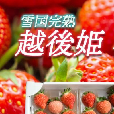 いちご 新潟 雪国完熟越後姫桃薫 約200g×2P食べ比べセット イチゴ 苺 お取り寄せ ギフト 贈り物 上越
