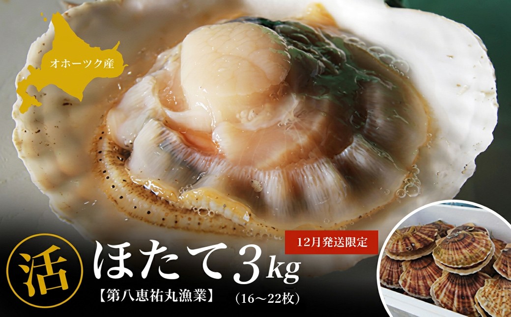 
                  【12月発送限定】オホーツク産 『活』 ほたて 選べる容量3kg～8kg【 ふるさと納税 人気 おすすめ ランキング 魚介類 貝 ほたて ホタテ 帆立 帆立貝柱 ホタテ貝柱 ほたて貝柱 新鮮 北海道 佐呂間町 送料無料 】 SRMN022-v
                