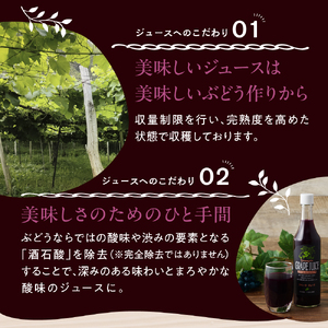 美味しい上山・山ぶどうジュース（原液）６００ｍｌ×２本　0140-2406