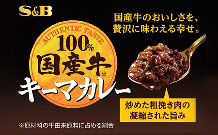 レトルトカレー S&B キーマカレー 12箱 レトルトカレー