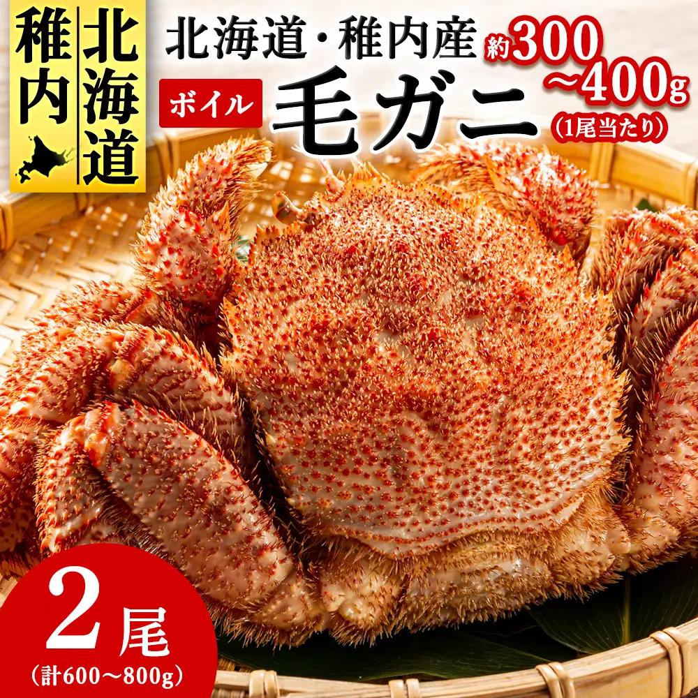 【2025製造】稚内産ボイル毛ガニ小型2尾 (1尾約300g～400gの毛ガニ×2尾)【配送不可地域：離島・沖縄県】